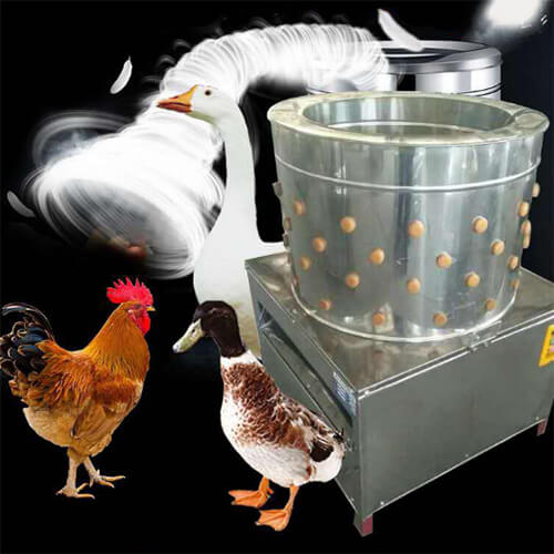 Masina de penit gaini, rate, gaste