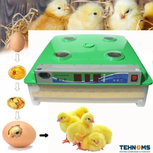 Incubator automat pentru 98 oua de gaina, prepelita, gasca, rata