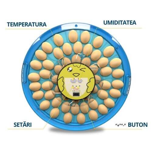 Incubator pentru 52 oua
