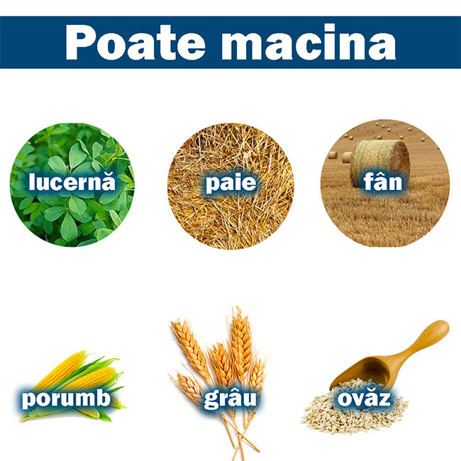 beneficii client tocator ms40-28A