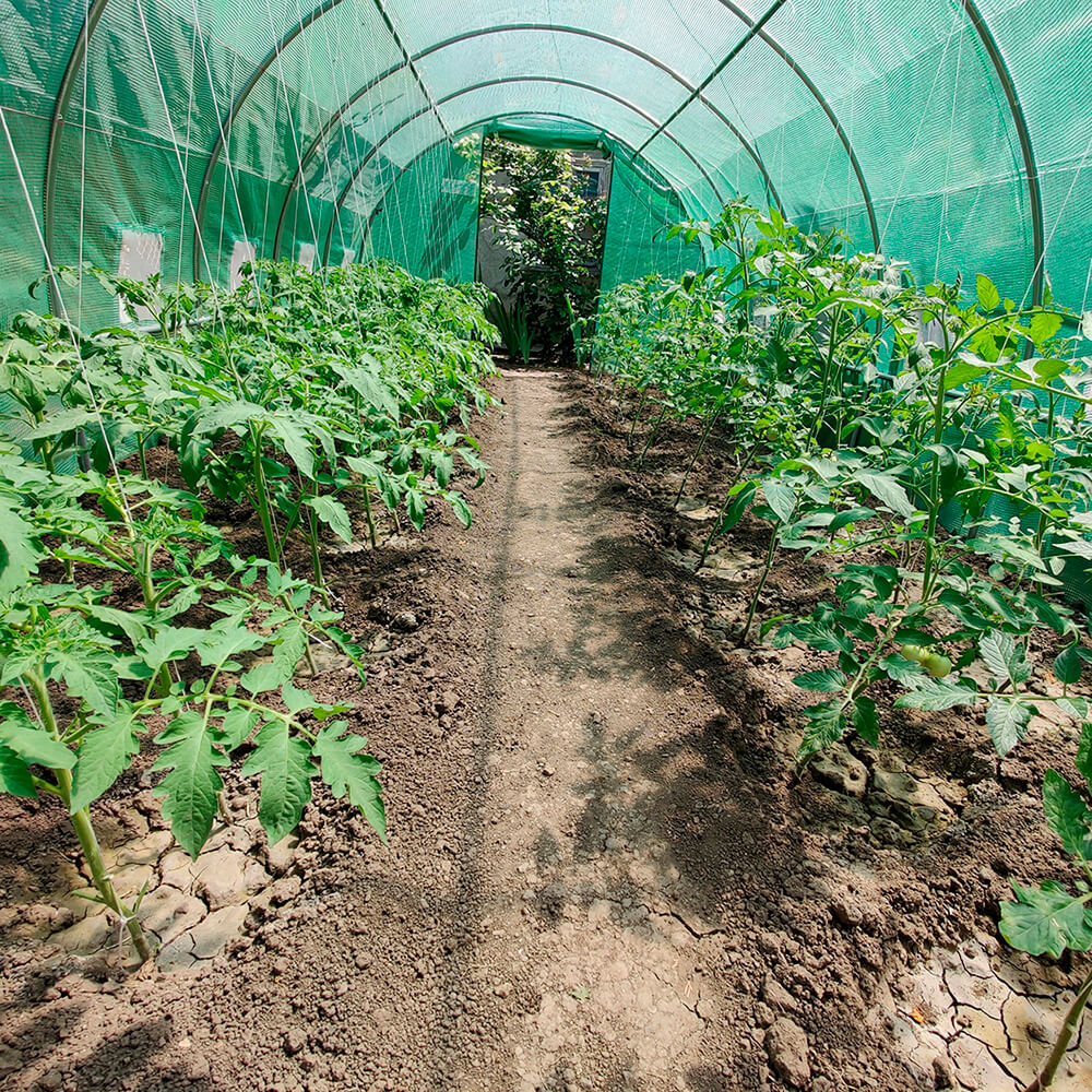 Solar de gradina 6x3x2m